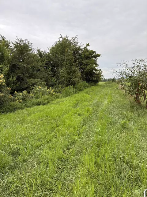 336 Wells Rd, Corbin, KY 40701 photo 36
