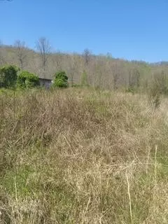1112 Covered Bridge Rd, Wallingford, KY 41093