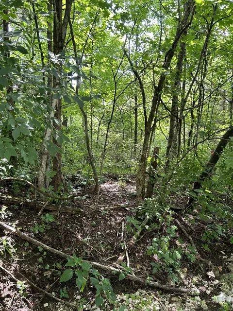 058-00 00-02200 Shadrick Ferry Rd, Frankfort, KY 40601