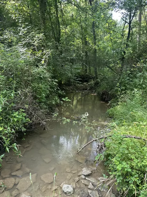 781 Apple Ln, Cynthiana, KY 41031