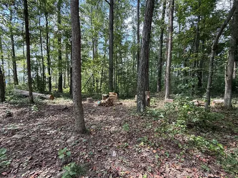 lot172 Stillwater, Russell Springs, KY 42642
