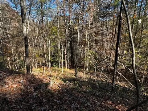 0 Fixer Rd, Zoe, KY 41397 photo 4