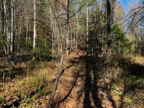 0 Fixer Rd, Zoe, KY 41397 photo 3