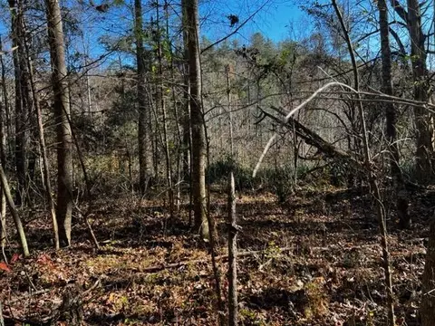 0 Fixer Rd, Zoe, KY 41397 photo 8