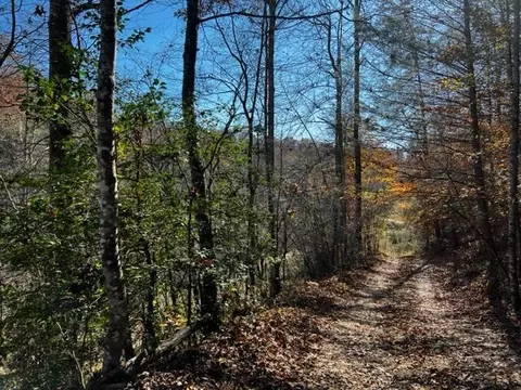 0 Fixer Rd, Zoe, KY 41397 photo 2