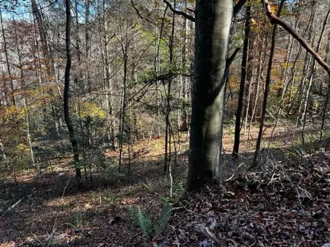 0 Fixer Rd, Zoe, KY 41397 photo 7