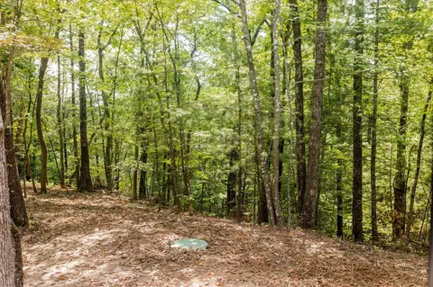 8 Holler Top Rd, Campton, KY 41301 photo 6