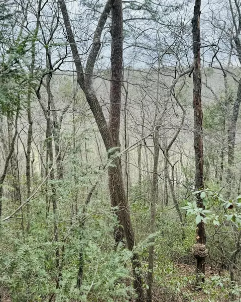 0 Sandy Hills Rd, Corbin, KY 40701 photo 5