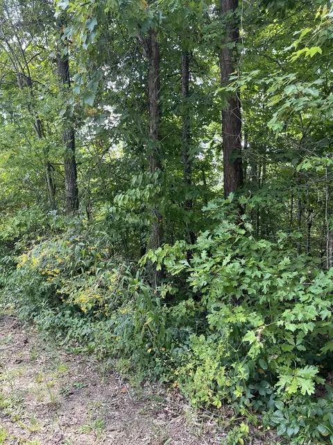 0 Sandy Hills Rd, Corbin, KY 40701 photo 2