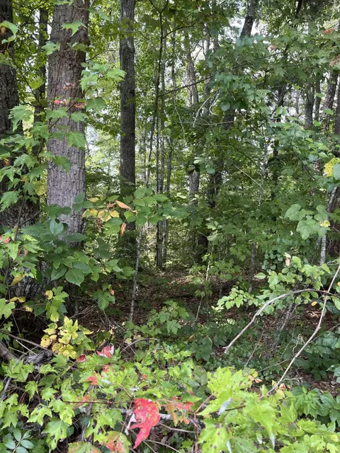 0 Sandy Hills Rd, Corbin, KY 40701 photo 7