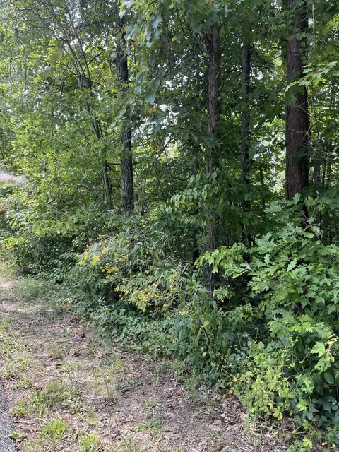 0 Sandy Hills Rd, Corbin, KY 40701 photo 3
