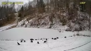 00 Ky 190frazure Rd, Pineville, KY 40977 photo 5