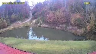 00 Ky 190frazure Rd, Pineville, KY 40977