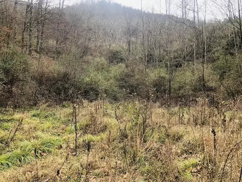0 Carrion Br, Whitesburg, KY 41858