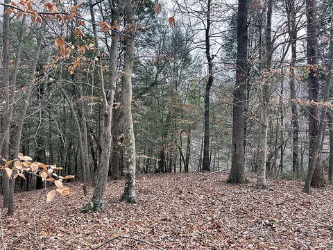 lot189 Stillwater, Russell Springs, KY 42642