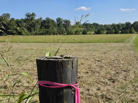 9999 Peggy Flats Rd, Berea, KY 40403
