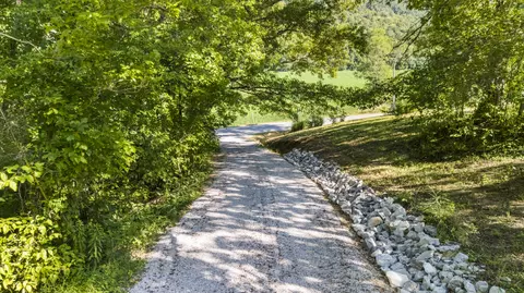 531 E Fork Rd, Means, KY 40346 photo 9