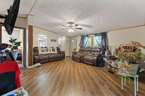 146 Pacific Ave, Morehead, KY 40351 photo 38