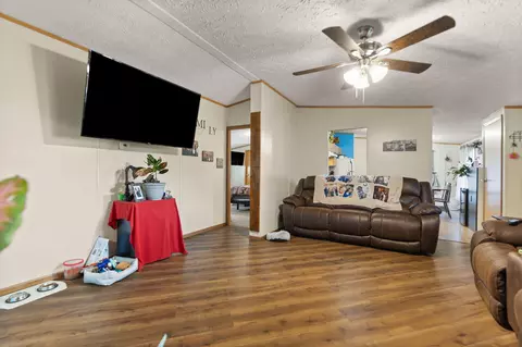146 Pacific Ave, Morehead, KY 40351 photo 39