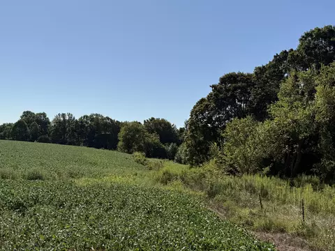 2630 Estill Hackney Rd, Eubank, KY 42567 photo 5