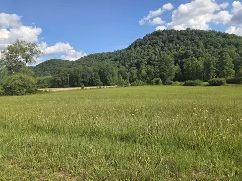 000 Tar Fork Rd, Vanceburg, KY 41179