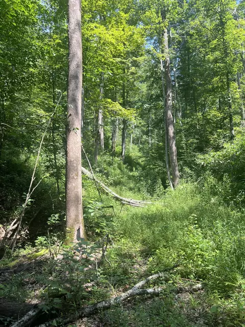 9983 Us-460, Salyersville, KY 41465