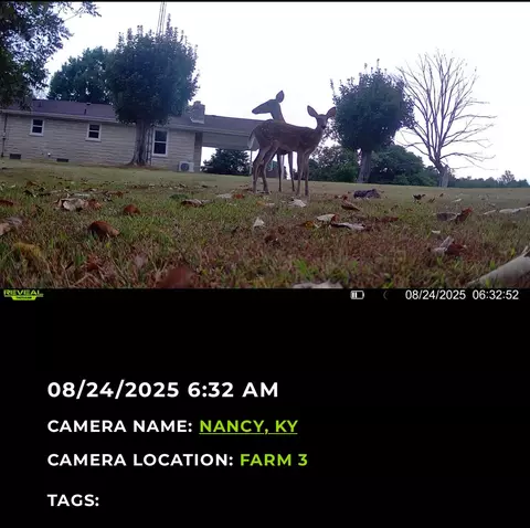 Other - 107 Rogers Ln, Faubush, KY 42544 photo 7 of 22