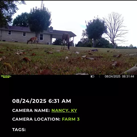 Exterior - 107 Rogers Ln, Faubush, KY 42544 photo 15 of 27