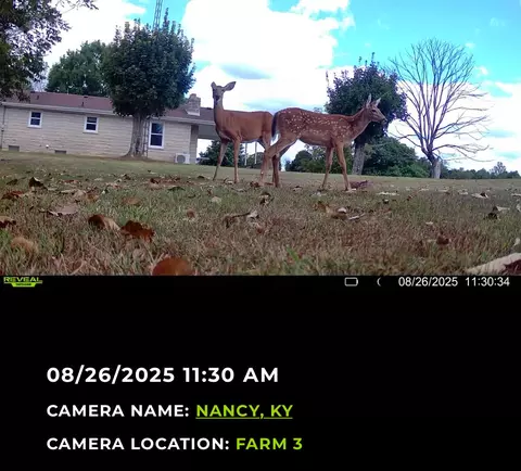 Other - 107 Rogers Ln, Faubush, KY 42544 photo 10 of 22