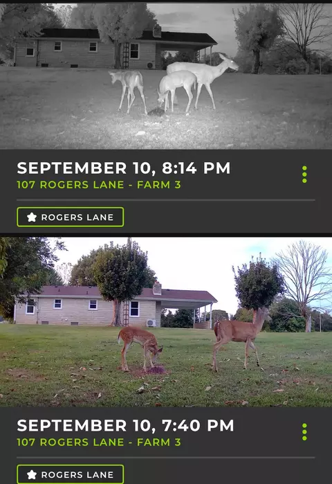 Other - 107 Rogers Ln, Faubush, KY 42544 photo 15 of 22