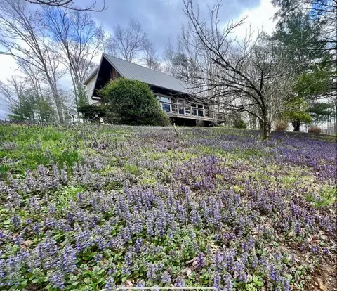 1516 Hobbs Rd, Campton, KY 41301