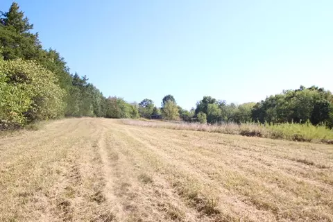 545 Mt Freedom Ln, Harrodsburg, KY 40330