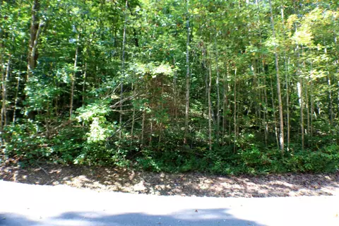 406 Harmony Ln, Burnside, KY 42519 photo 5