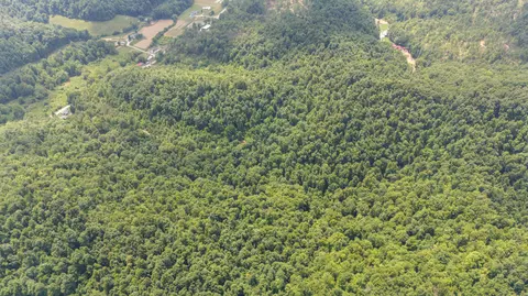 View/Area - 4021 Ky 1094, Campton, KY 41301 photo 5 of 11