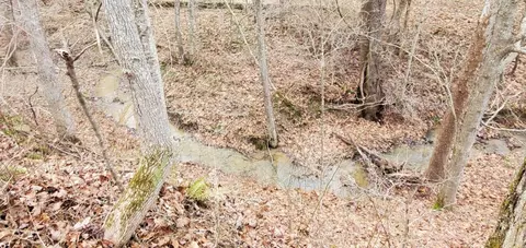 View/Area - 4021 Ky 1094, Campton, KY 41301 photo 2 of 11