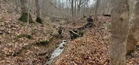 Other - 4021 Ky 1094, Campton, KY 41301 photo 13 of 30