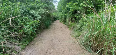 Other - 4021 Ky 1094, Campton, KY 41301 photo 11 of 30