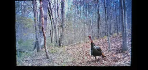 Other - 4021 Ky 1094, Campton, KY 41301 photo 20 of 30