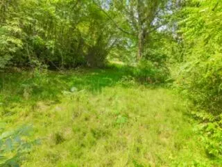 lot19 38 Plainview Rd, Nancy, KY 42544 photo 29