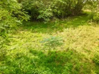 lot19 38 Plainview Rd, Nancy, KY 42544 photo 19