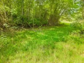 lot19 38 Plainview Rd, Nancy, KY 42544 photo 28
