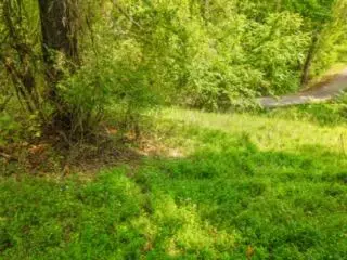 lot19 38 Plainview Rd, Nancy, KY 42544 photo 26