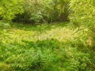 lot19 38 Plainview Rd, Nancy, KY 42544 photo 31