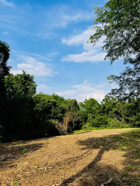 4107 Akin Ln, Burlington, KY 41005