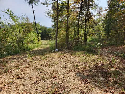 lot Apt 3 Routt Rd, Wallingford, KY 41093