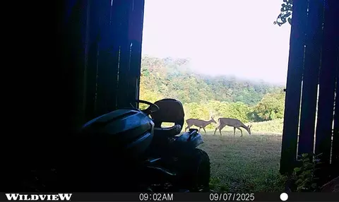 Other - 3890 Oregon Rd, Versailles, KY 40383 photo 15 of 18