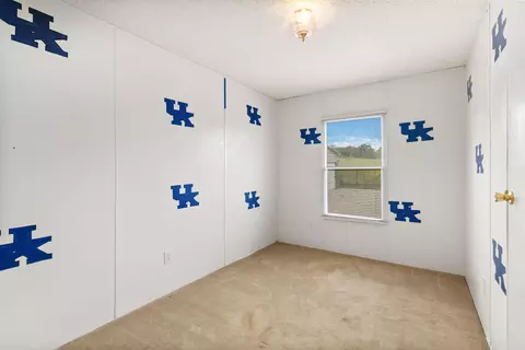 270 Doe Run, Nancy, KY 42544 photo 23