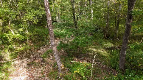 776 Adams Rd, Williamstown, KY 41097