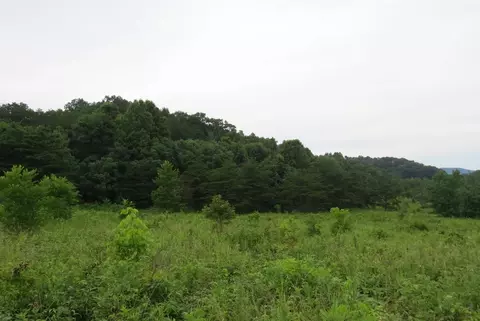 1 Tacket Hill Cemetery Rd, Hulen, KY 40845