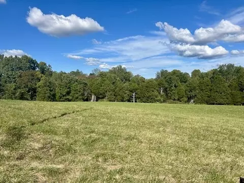 29 06 Acres Hutchison Loy Rd, Columbia, KY 42728